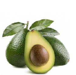 AGUACATE-FUERTE-ENFRABCN-EXPORT