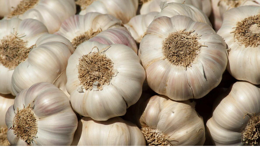 AJOS-ENFRABCN-EXPORT-