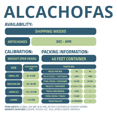 ALCACHOFA-ENFRABCN-EXPORT-2