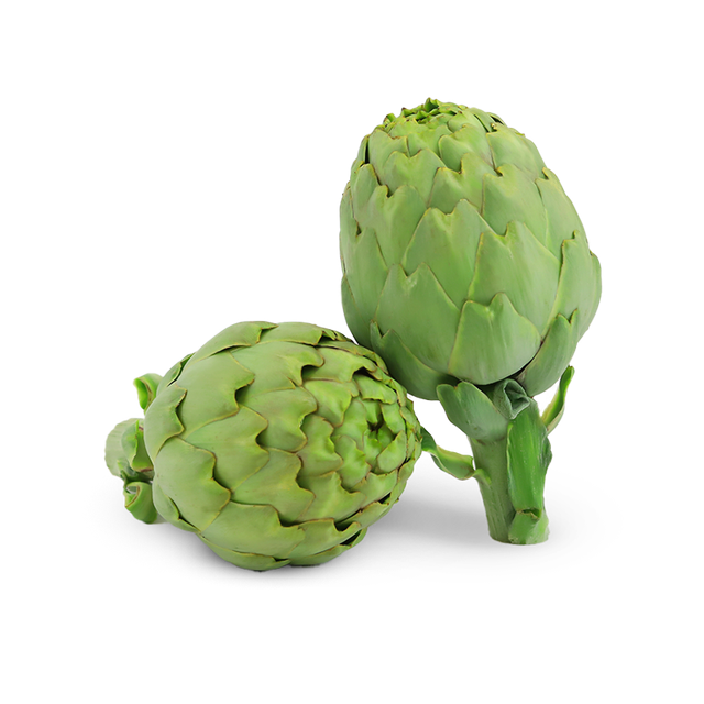 ALCACHOFA-ENFRABCN-EXPORT