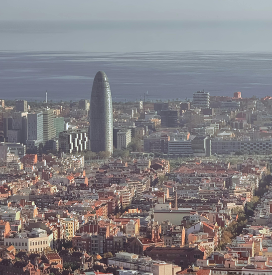 BARCELONA-EFRABCN-FRUTAS Y VERDURAS-EXPORT-IMPORT-2