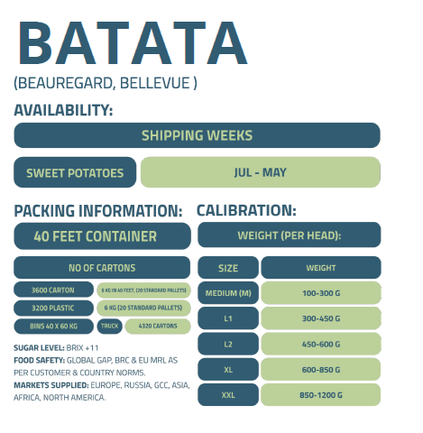 BATATAS-ENFRABCN-EXPORT-2