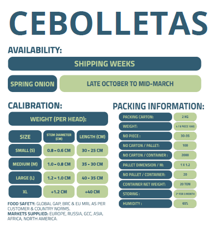 CEBOLLETA-ENFRABCN-EXPORT-2