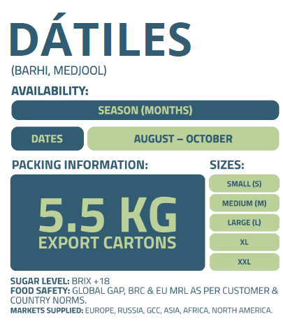 DATILES-FUERTE-ENFRABCN-EXPORT-2
