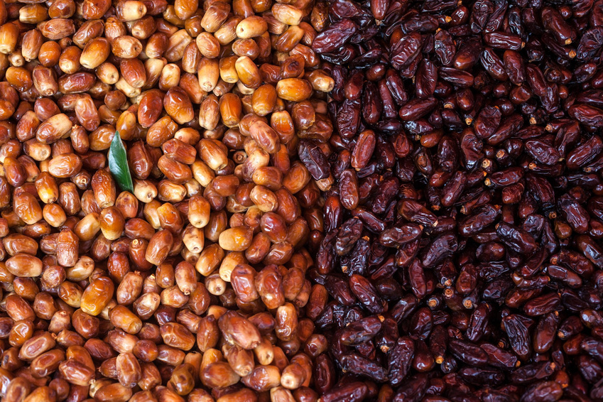 DATILES-FUERTE-ENFRABCN-EXPORT