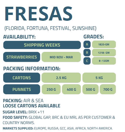 FRESAS-ENFRABCN-EXPORT-2
