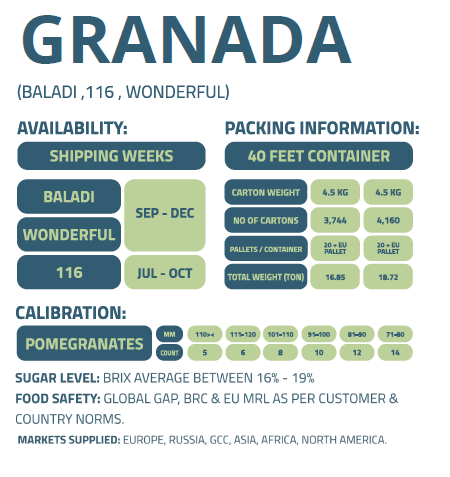 GRANADA-ENFRABCN-EXPORT-1