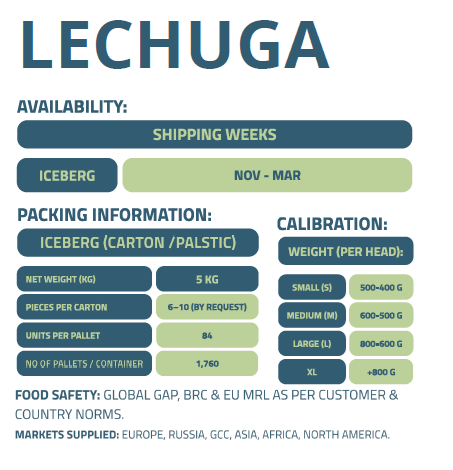 LECHUGA-ENFRABCN-EXPORT-2