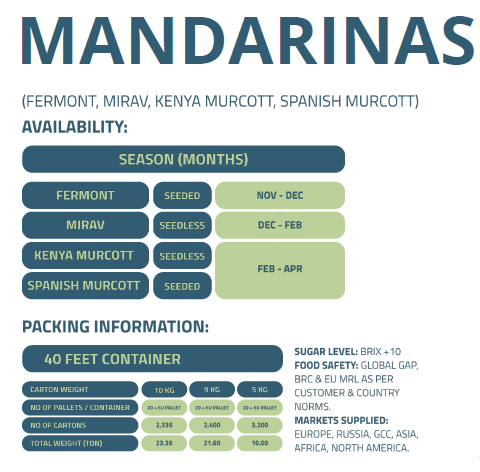 MANDARINAS-ENFRABCN-EXPORT-2