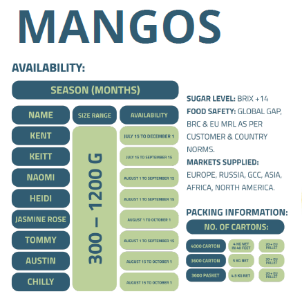 MANGO-ENFRABCN-EXPORT-2