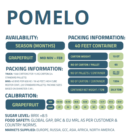 POMELO-ENFRABCN-EXPORT-2