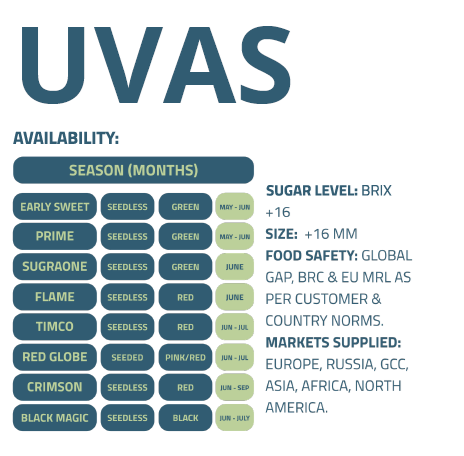 UVAS-ENFRABCN-EXPORT-2