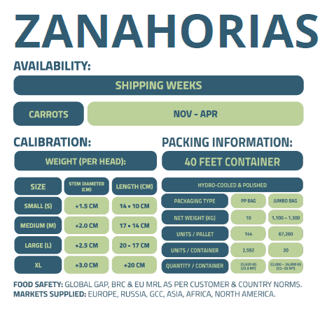 ZANAHORIA-ENFRABCN-EXPORT-2