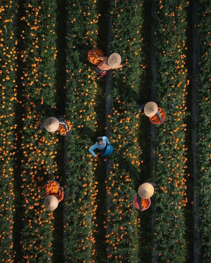 export-enfrabcn-spain-barcelona (3)